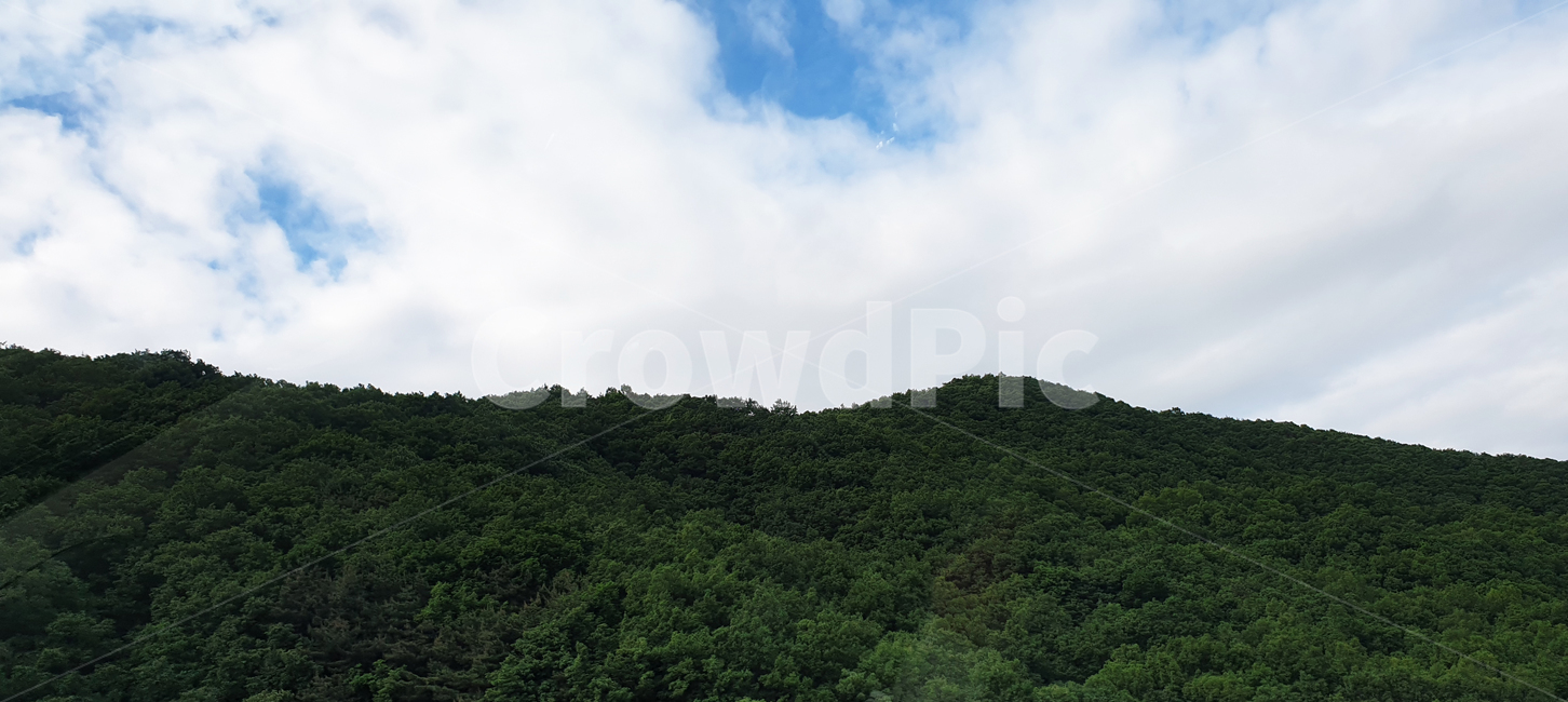 하늘,산,풀,맑은하늘,맑음,파란,파란하늘