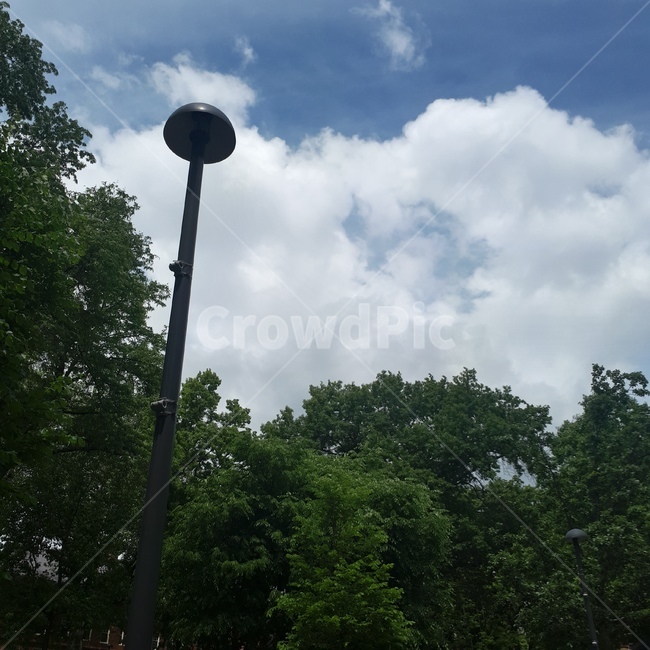 미국,america,가로등,나무,하늘,sky,tree,미국거리,거리,street,높은건물