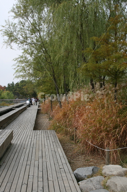 가을,나무,단풍,식물,plant,공원,자연,풍경,nature,landscape,사람들,대중,군중,other people,crowd,boardwalk,산책로,bridge,다리,building,건물