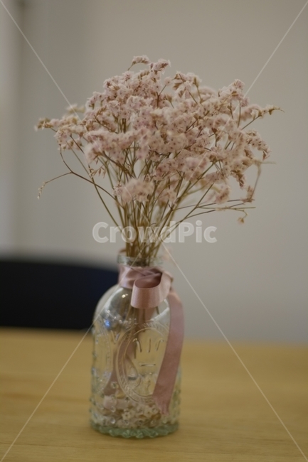 꽃,카페,드라이플라워,배경,소품,감성,식물,interior,cafe,dryflower,분홍,화병,꽃,flower,실내용화초,화분,화초,house plant,인테리어,실내디자인,interior design