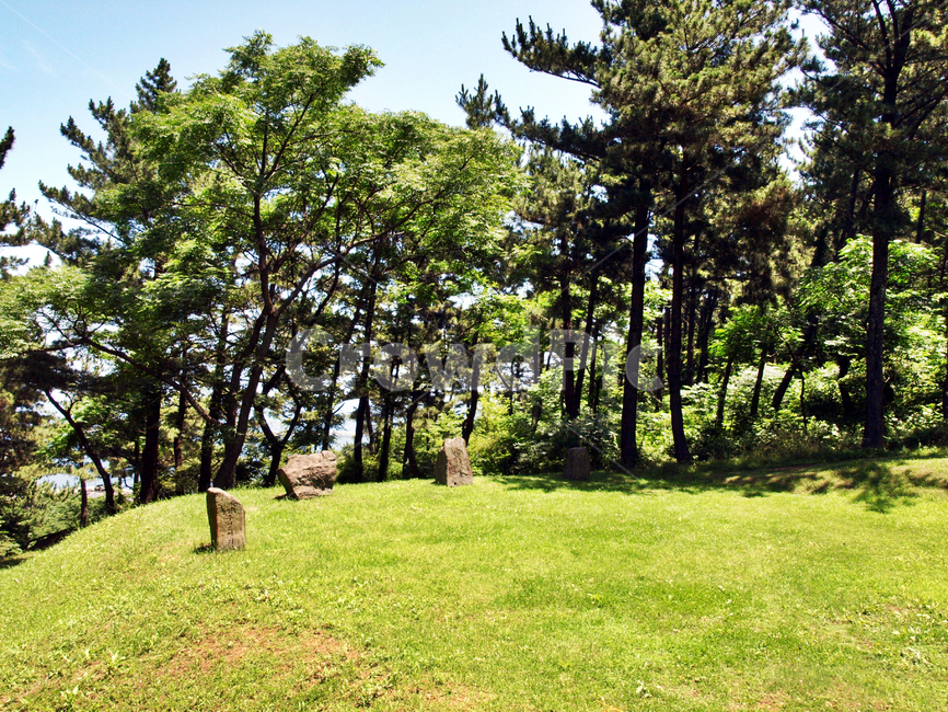 유적지,유허비,사라봉,제주,올레18코스,올레길,자연,자연,풍경,nature,landscape,tree,나무,plant,식물,grass,잔디