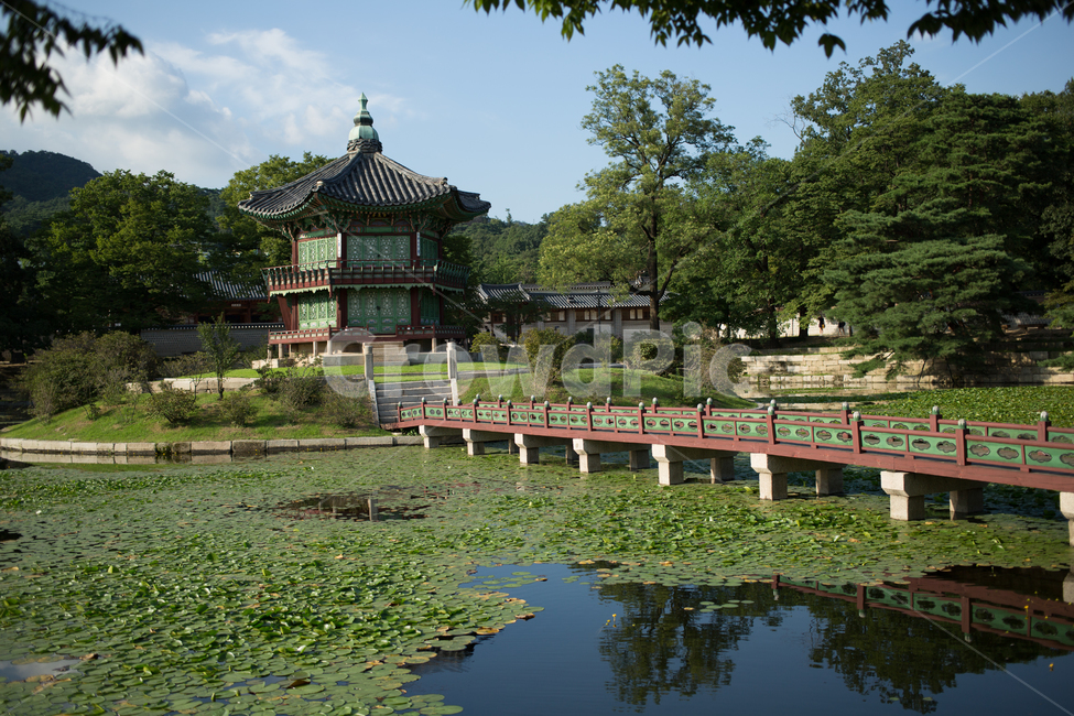경복궁,향원정,서울,구름,하늘,숲,자연,고궁,한국,한국전통,한국문화,korean traditional,korean culture,건축물,건물외관,exterior,building,structure,architecture,construction