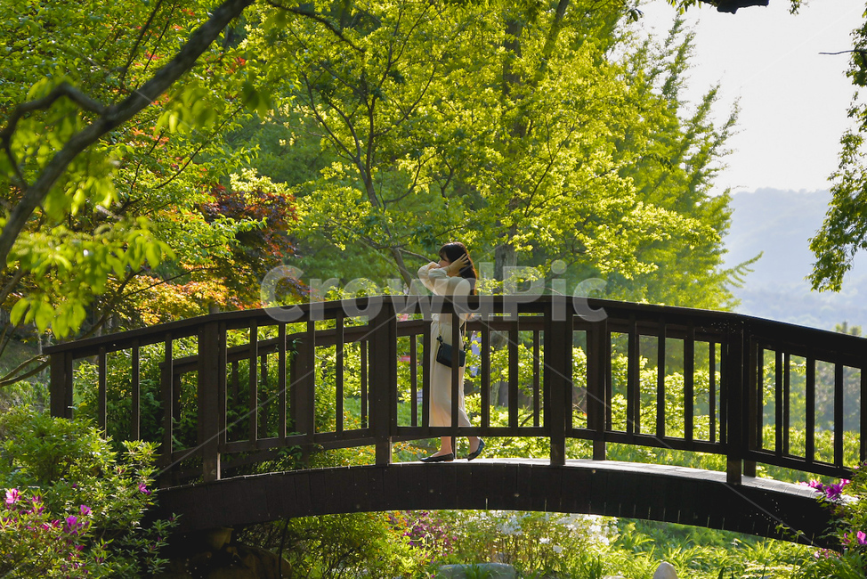 경주,엑스포공원,다리,연못,여자,공원,옆모습,사람,자연,나무,초록,green,park,woman,person,human,nature,tree,여성,여자,woman,female,lady