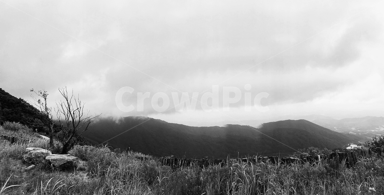 자연풍경,파노라마,흑백,nature,자연,outdoors