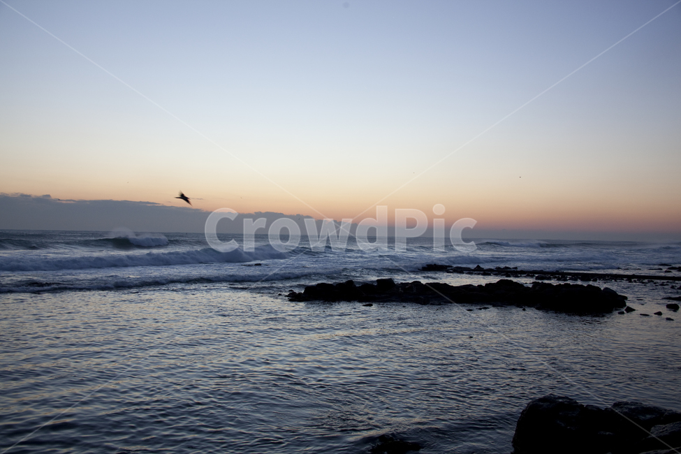 일출,갈매기,자연,nature,ocean,대양,sea,바다,water,bird,물,outdoors,flare,플레어,빛,sunlight,햇빛,다리,pier,교각,포트,port,자연,풍경,nature,landscape