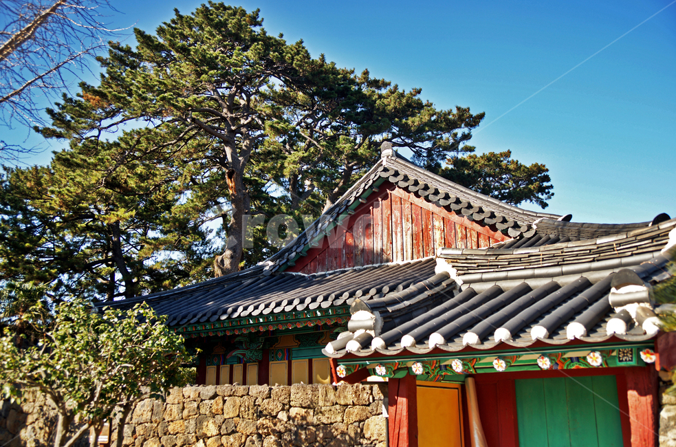 제주향교,향교,제주도,용담동,1827년,현유위패봉안,석전,공자제사,한국전통,한국문화,korean traditional,korean culture