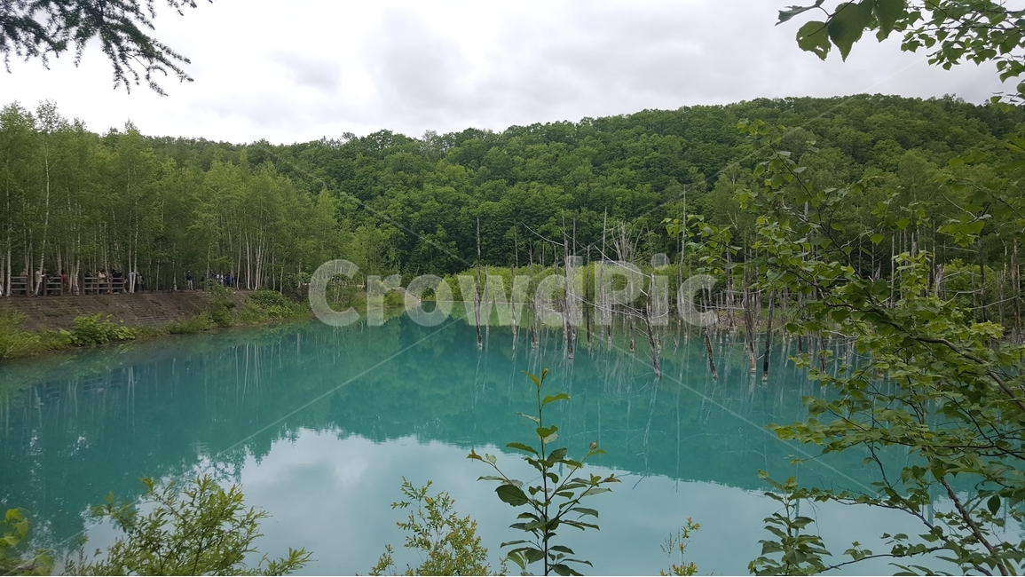 삿포르,삿뽀르,홋카이도,청의호수,일본,폭포,경관,자연,비경,자연,풍경,nature,landscape,해외,외국,세계,foreign,oversea,world,세계자연풍경,해외자연풍경,외국자연풍경,world nature landscape,water,물,outdoors,옥외
