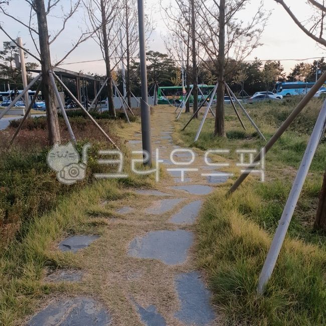 path,trail,walking,Street,tree road,walk,stone wall road
