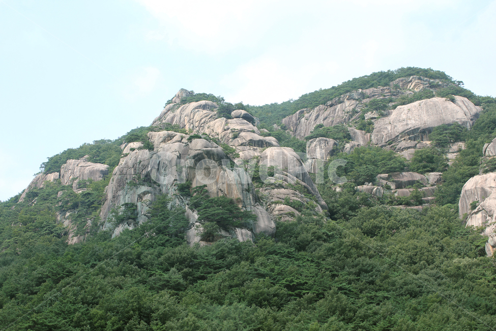 asia,cliff,forest,green,korea,mountain,nature,rock,stone,tree,자연,한국,아시아,절벽,암벽,돌,바위,바위산,풍경,숲,나무,그린,녹색,산,산정상,정상,산꼭대기,자연,풍경,nature,landscape,한국자연풍경,한국자연경관,korea nature landscape,outdoors,옥외,낭떠러지