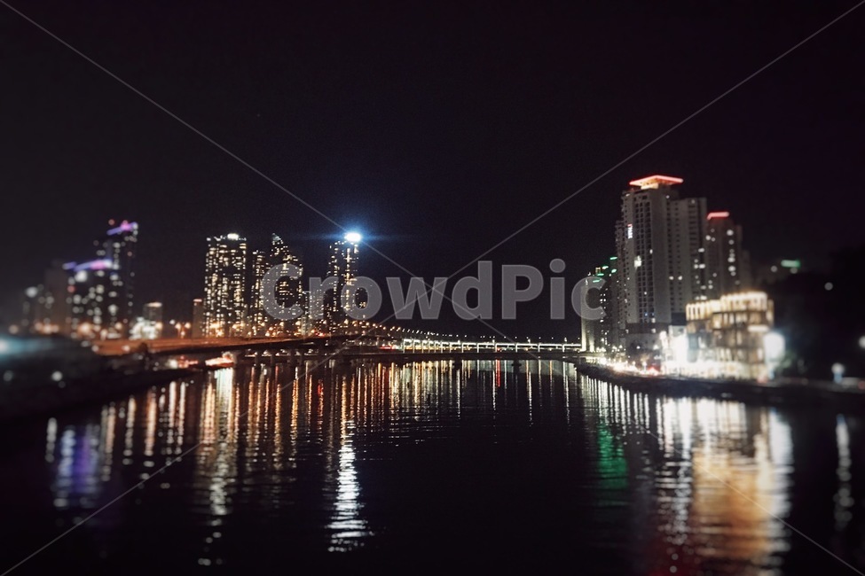 수영강,불빛,강,아파트,야경,야경,밤,풍경,nightscape,night,landscape,water,물