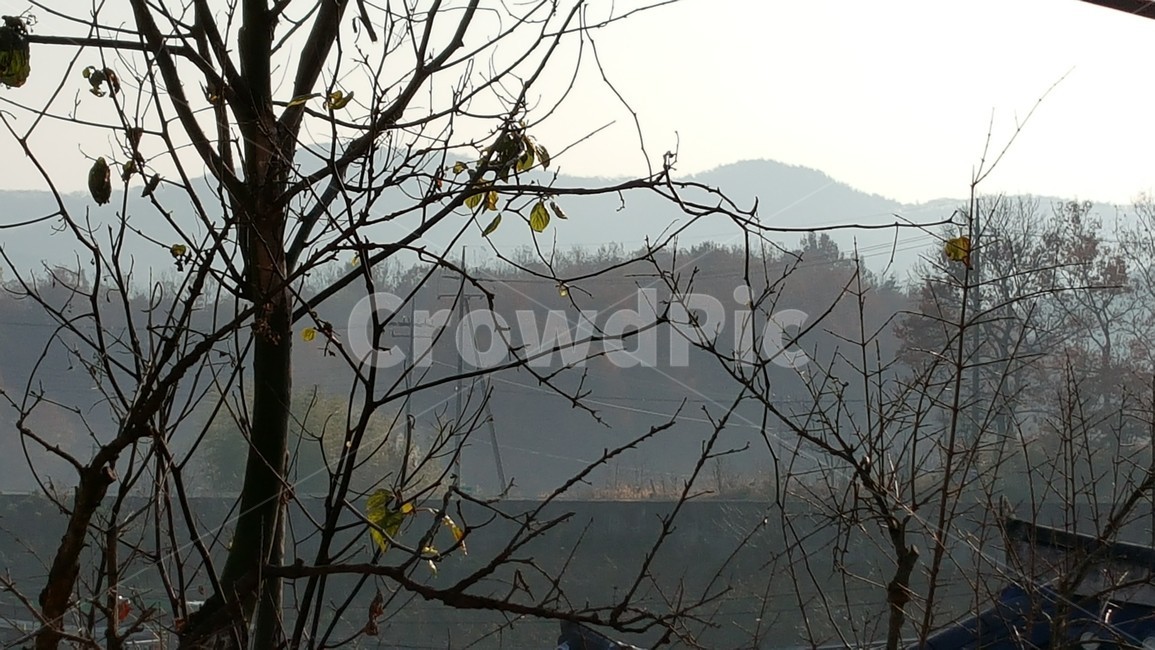 자연,풍경,추억,시골,겨울,안개,새벽,자연,풍경,nature,landscape