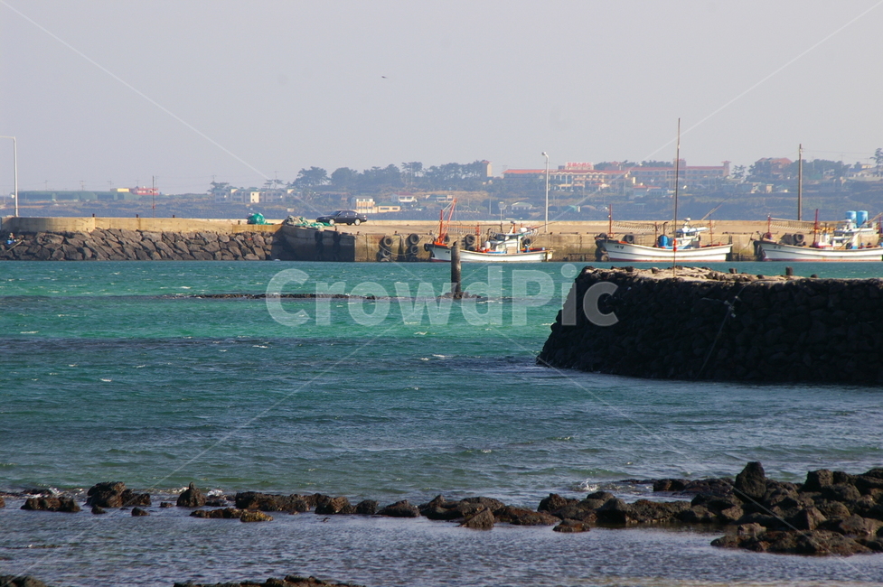제주,제주도,제주풍경,풍경,겨울제주,겨울제주도,겨울,초겨울,자연,풍경,nature,landscape,제주도,jeju,jeju island