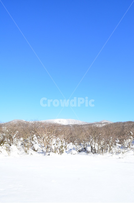 설경,눈,하늘,자연,풍경,제주,한라산,천백고지,하얀색,겨울,계절,winter,season,자연,풍경,nature,landscape,한국자연풍경,한국자연경관,korea nature landscape,제주도,jeju,jeju island,plant,식물,tree,나무,outdoors,옥외