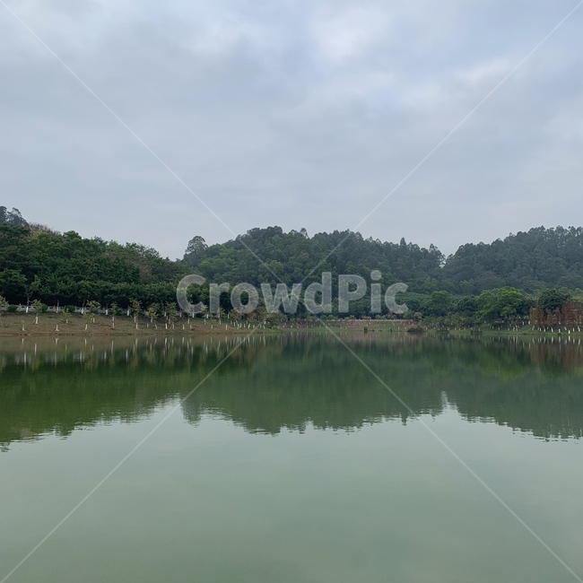 호수,공원,호수공원,중국,china,lake,자연,풍경,nature,landscape,water,물,outdoors,옥외