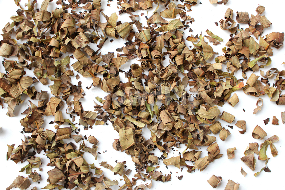 natural,nature,organic,food,healthy,plant,brown,driedleaf,dry,dryleaf,guava,guavatea,leaf,tea,white,자연,음식,식배료,차,차잎,건강,식물,브라운,갈색,말린잎,말린,건조,건조시킨,구아바,구아바잎,잎,나뭇잎,가루,흰배경,구아바차,음식,식재료,요리,food,cook,meal,dishes,food reserves
