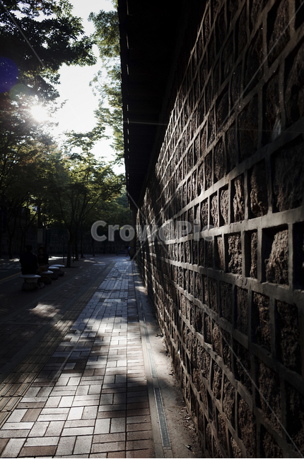 walkway,path,통로,판석,pavement,포장,sidewalk,보도,돌담,길,돌담길,여름,풍경,summer,green