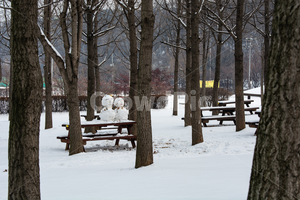 눈사람,눈밭,눈길,흰눈,백설,겨울,계절,winter,season,자연,풍경,nature,landscape,tree,나무,plant,식물,bench,벤치