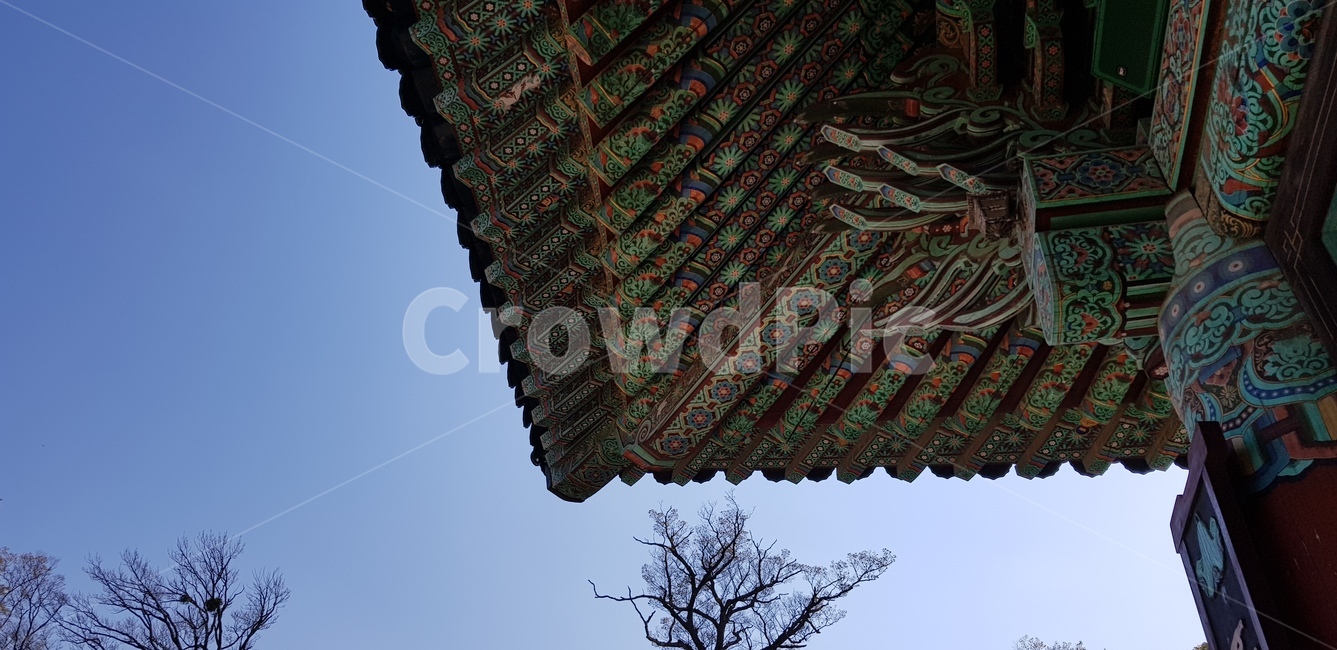 절,사찰,처마,기와,하늘,불교,한국전통,한국문화,korean traditional,korean culture,건축물,건물외관,exterior,building,structure,architecture,construction
