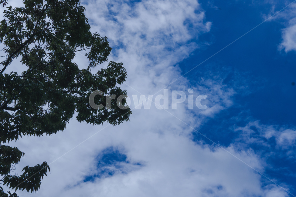 blue,cloud,파랑,구름,tree,나뮤,green,nature,자연,sky,하늘,푸른하늘,azuresky,자연,풍경,nature,landscape