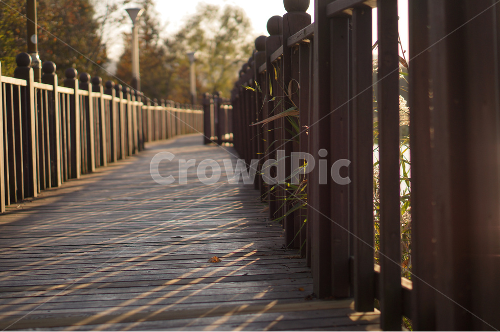 데크길,햇살,빛,풍경,산책로,자연,풍경,nature,landscape,식물,plants,감성,sensible,feeling,boardwalk,bridge,다리,building,건물,railing,난간,handrail,banister
