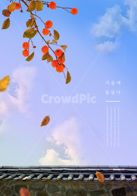 가을,편집,감성,감,감나무,기와,책,가을단풍,가을하늘,가을편집,가을감성,풍경,배경,감성편집,낙엽,가을,계절,fall,autumn,season