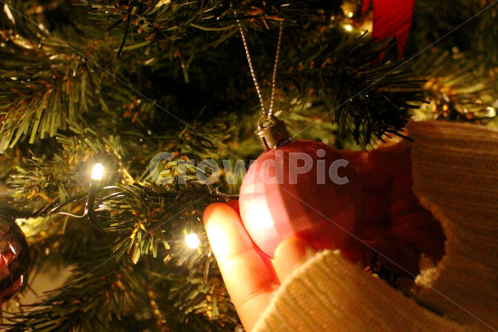 크리스마스,크리스마스트리,크리스마스장식,성탄절,감성사진,christmas,메리크리스마스,체크,빨강,빨간색,초록,초록색,tree,red,green,빛,손,사람,겨울,계절,winter,season,사람,인물,인간,human,person,신체일부,몸,body,기념일,축하,anniversary,congratulation,celebrate,celebration,메리크리스마스,성탄절,merry christmas