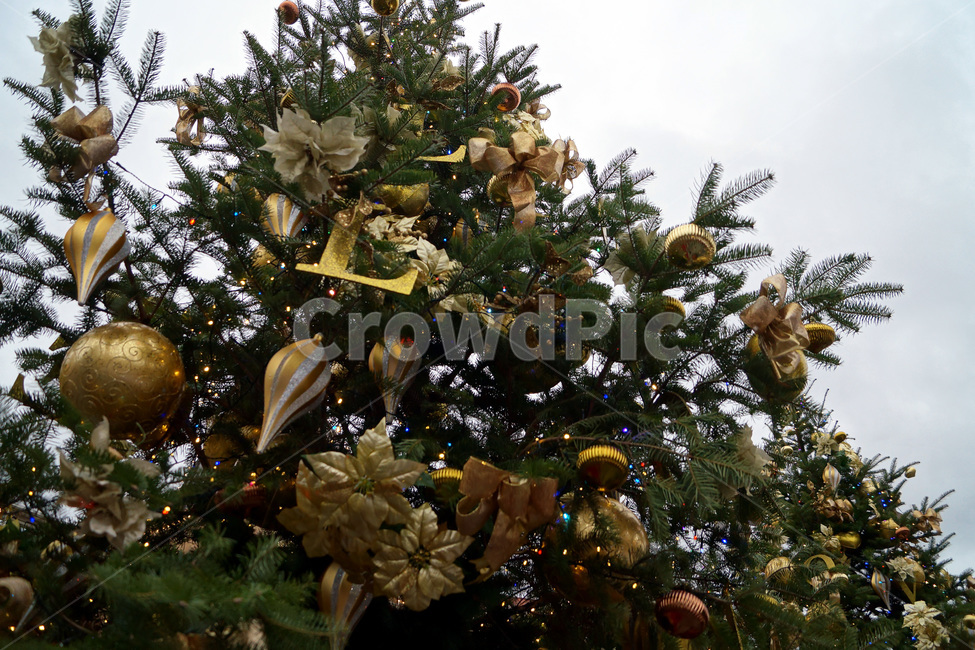 크리스마스트리,나무,장식,크리스마스,겨울,하늘,구름,christmastrees,trees,decorations,christmas,winter,sky,clouds