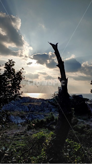 하늘,구름,풍경,cloud,sky,nature,식물,plant,나무,tree