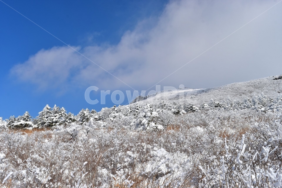 무등산,국립공원,풍경,힐링,산행,설경,상고대,서리꽃,서석대,입석대,안양산,백마능선,장불재,증심사,중봉,중머리재,천왕봉,지왕봉,Korea,National,Park,눈풍경,등산,주상절리,판타스틱,겨울왕국,겨울,지질공원,인왕봉,천지인,설국,2018년,1월,눈꽃,파란하늘,트레킹,winter,landscape,감성,아름다운,황홀한,장관,비경,선경,최고,사진,겨울,계절,winter,season,자연,풍경,nature,landscape,한국자연풍경,한국자연경관,korea nature landscape,outdoors,옥외,slope,경사