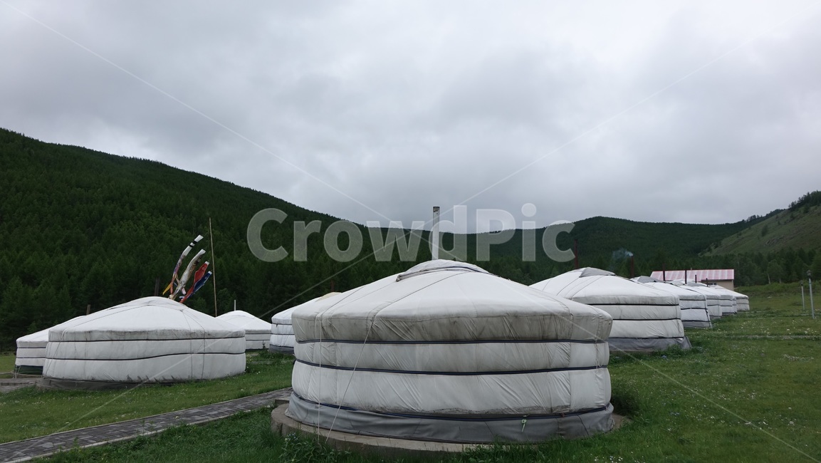 게르,캠프,grass,몽골,몽고
