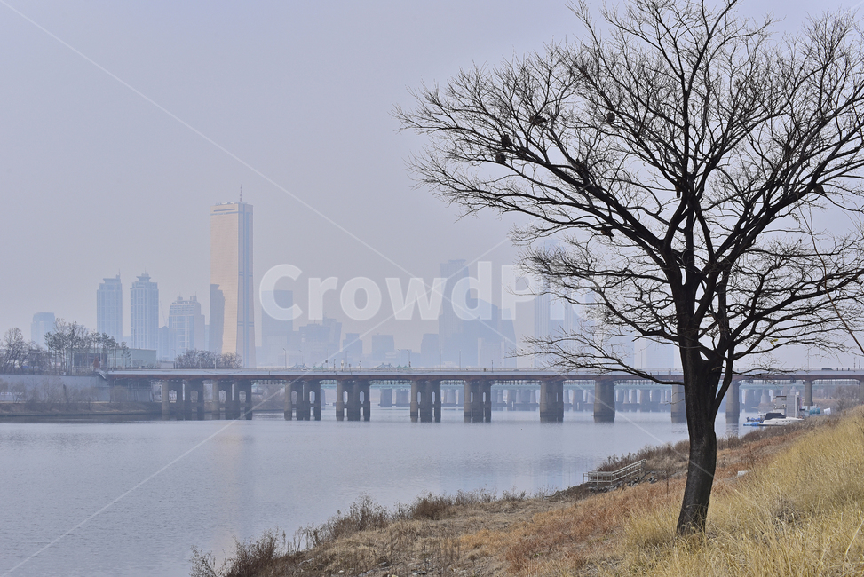 한강대교,다리,대도시,도시풍경,한국도시경관,나무,강변풍경,강물,river,outdoor,water,물,waterfront,워터프론트,야외,옥외,겨울풍경,배경,바탕,고층빌딩,건축물,안개,미세먼지,대기,환경,공기오염,대기오염,도시,풍경,city,landscape,한국도시풍경,한국도시경관,korea cityscape