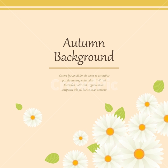 국화,국화꽃,꽃,가을,프레임,배경,백그라운드,가을,계절,fall,autumn,season,그래픽,일러스트레이션,graphic,illustration