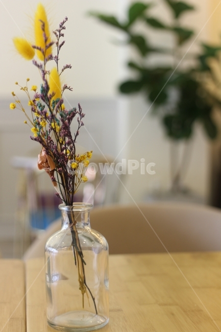 카페,실내,장식,인테리어,꽃병,화병,꽃,flower,감성,꽃,flower,실내용화초,화분,화초,house plant,인테리어,실내디자인,interior design
