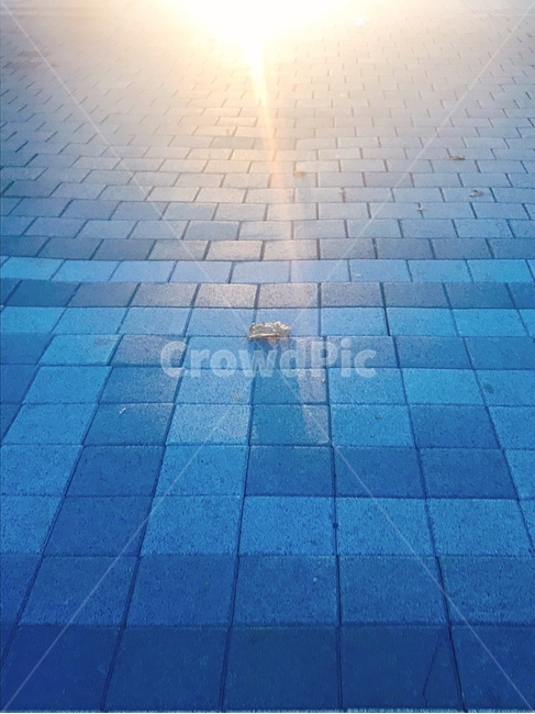 walkway,보도,floor,바닥,푸른,저녁,햇볕,외로움