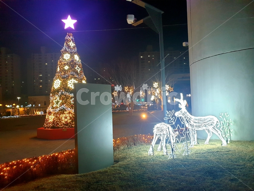 tree,일루미네이션,불빛,야경,경치,트리,순록