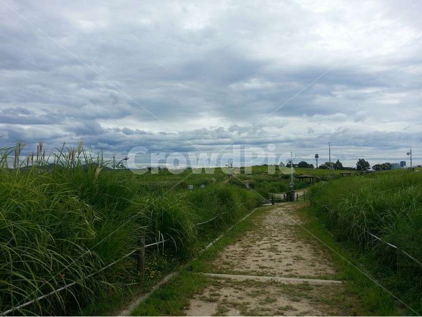 구름,흐림,하늘공원,여름,풍경,자연,풍경,nature,landscape,한국자연풍경,한국자연경관,korea nature landscape,outdoors,옥외,road,도로