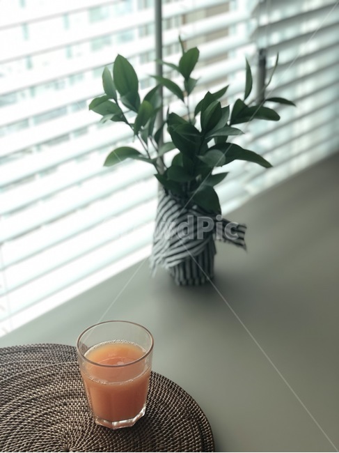beverage,마실것,juice,주스,drink,table,탁자,창가,블라인드,window
