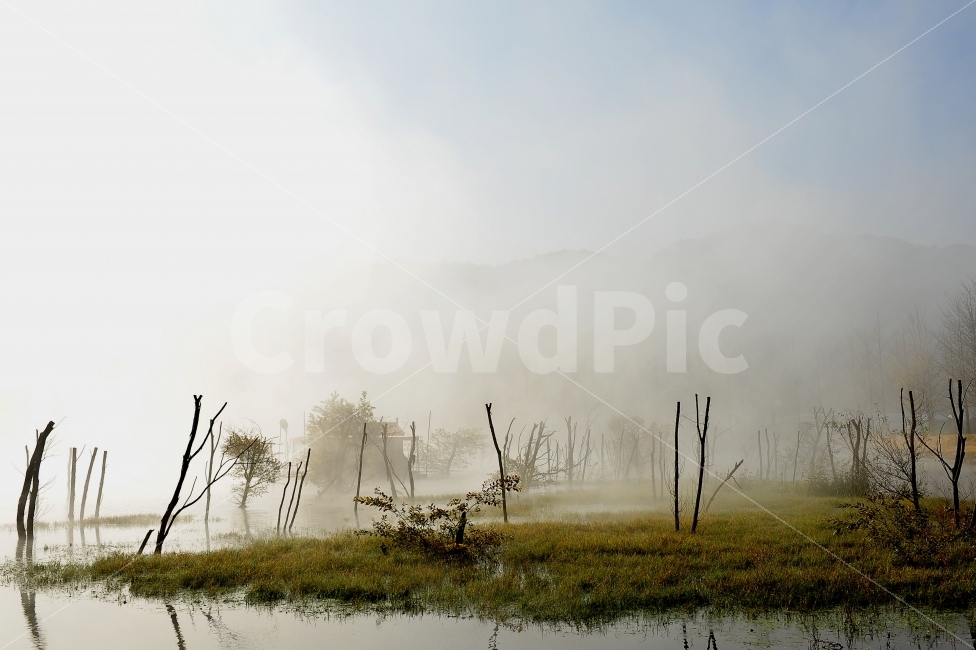 문경저수지,물안개,낚시터,여행,몽환,괴산,충북,자연,풍경,nature,landscape,한국자연풍경,한국자연경관,korea nature landscape,outdoors,옥외