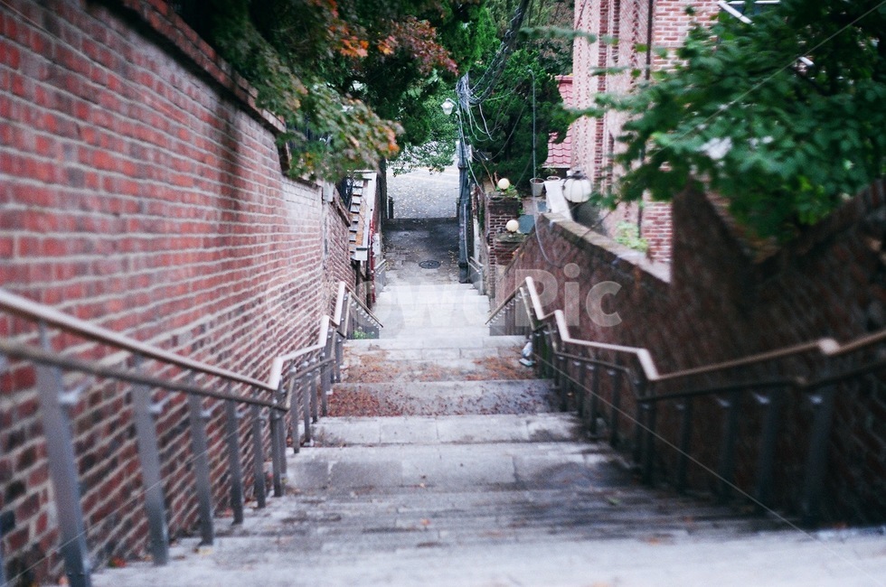 계단,동네,마을,가을,낙엽,계절,골목길,alley,감성,sensible,feeling,banister,난간,handrail,outdoors,옥외,flagstone,판석,garden,정원