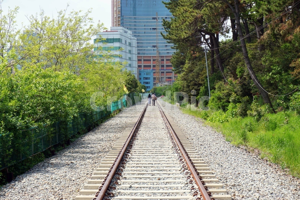 부산,해운대,기찻길,풍경,분위기,커플,연인,길