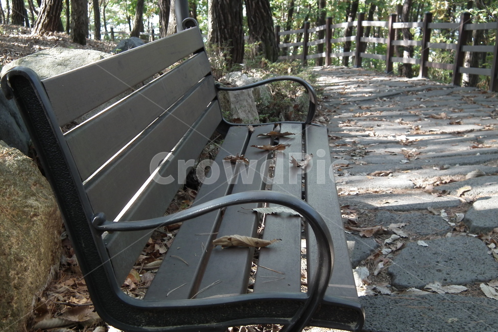 임경대,양산8경,자연,경관,옥외,정원,가든,gardenoutdors,낙엽,가을,벤치,가을,계절,fall,autumn,season,furniture,가구