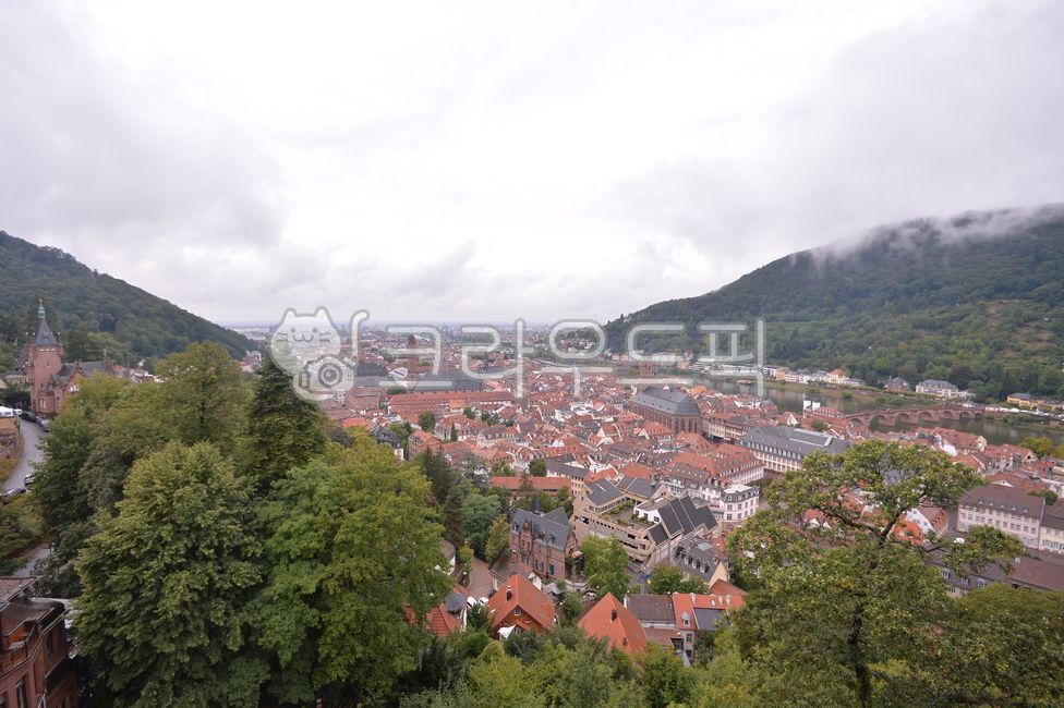 독일,하이델베르크,하에델베르크성,독일명소,유럽,옛날다리,옛스러움,강,유럽마을