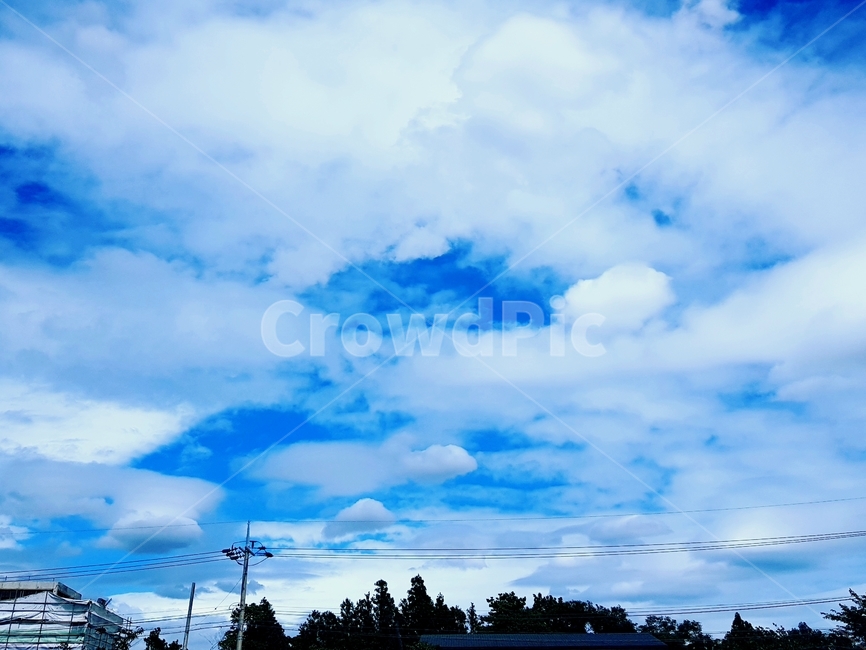구름,하늘,제주도,맑음,청량한,풍경,자연,풍경,nature,landscape,outdoors,옥외