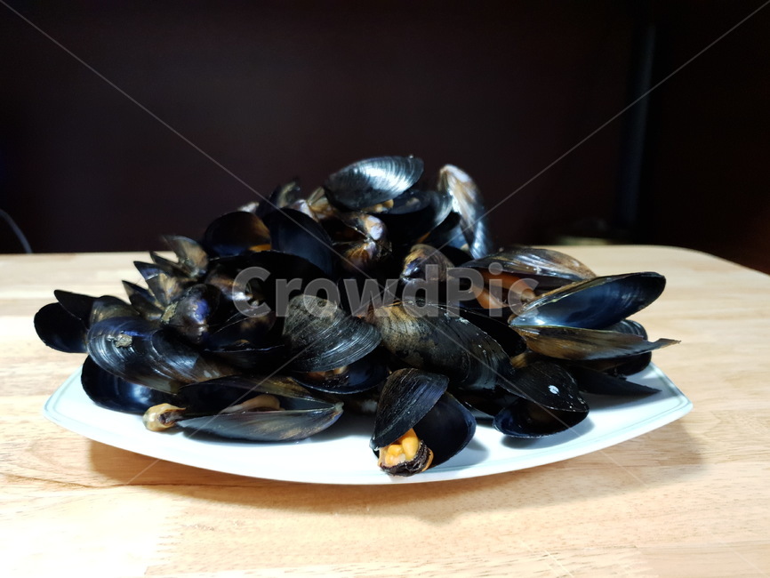 animal,동물,invertebrate,seashell,대합,clam,무척추동물,조개,sealife,해양생물,해산물,홍합,접시,흰,검은색,홍합껍데기,껍데기,조패류,음식,식재료,요리,food,cook,meal,dishes,food reserves,수산물,해산물,fishery products,seafood