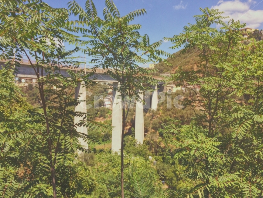 이탈리아,초록,자연,다리,유럽,europe,west,italy,green,nature,bridge,plants,tree,white,clearsky,clouds,sky,하늘,자연,풍경,nature,landscape,outdoors,옥외,porch,현관,patio,안마당,garden,정원