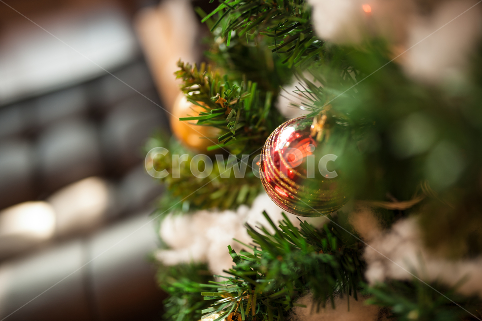 크리스마스,트리,성탄,christmas,Xmas,tree,겨울,계절,winter,season,기념일,축하,anniversary,congratulation,celebrate,celebration,메리크리스마스,성탄절,merry christmas,감성,sensible,feeling