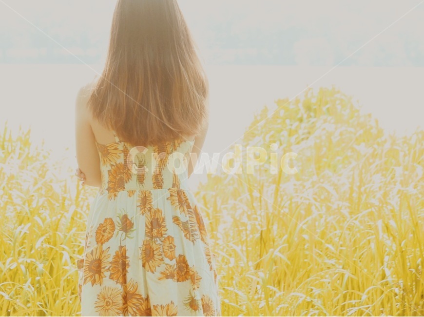 해바라기,소녀,여인,여자,여름,찬란,찬란함,사랑,꿈,드레스,몽환,자연,숲,풍경,sunflower,girl,woman,lady,briliant,briliance,beauty,llove,dream,surreal,nature,forest,dress