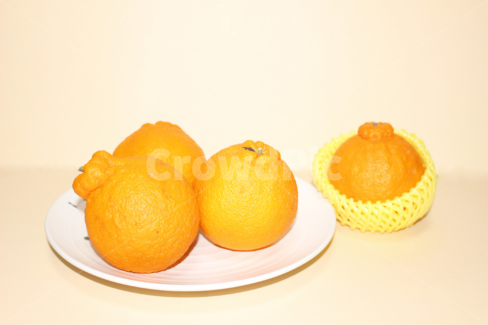 한라봉,오렌지,과일,음식,웰빙,생과일,디저트,다이어트,과일,열매,fruit