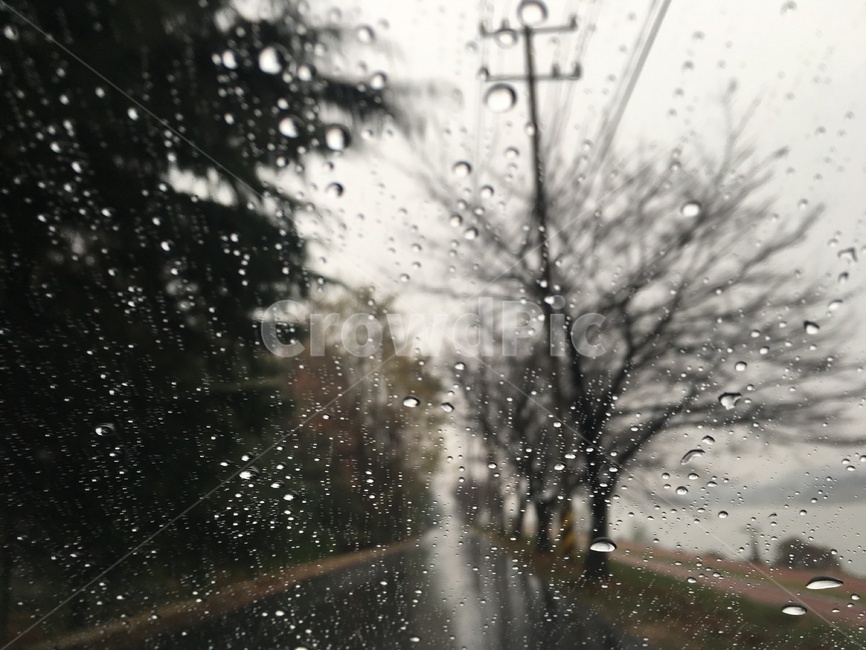 비,rain,창문,window,빗방울,dropwater,water,비,비오는날,rain,rainy