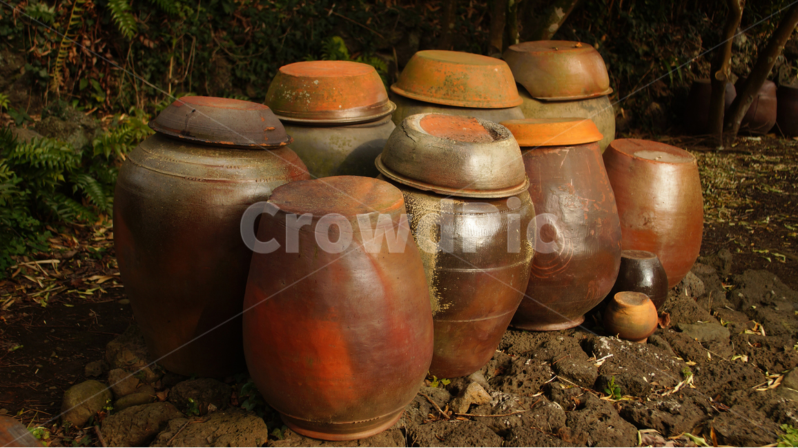 장독대,제주,여행,향토,감성사진,토속,한국전통,한국문화,korean traditional,korean culture,사물,물건,오브젝트,thing,object,matter